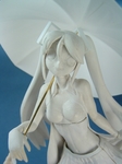 rqmiku06.jpg